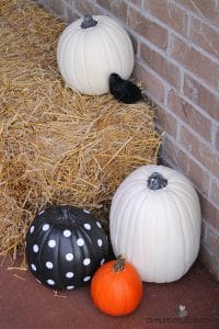 Orange and Black Halloween Porch | Halloween Decor Idea